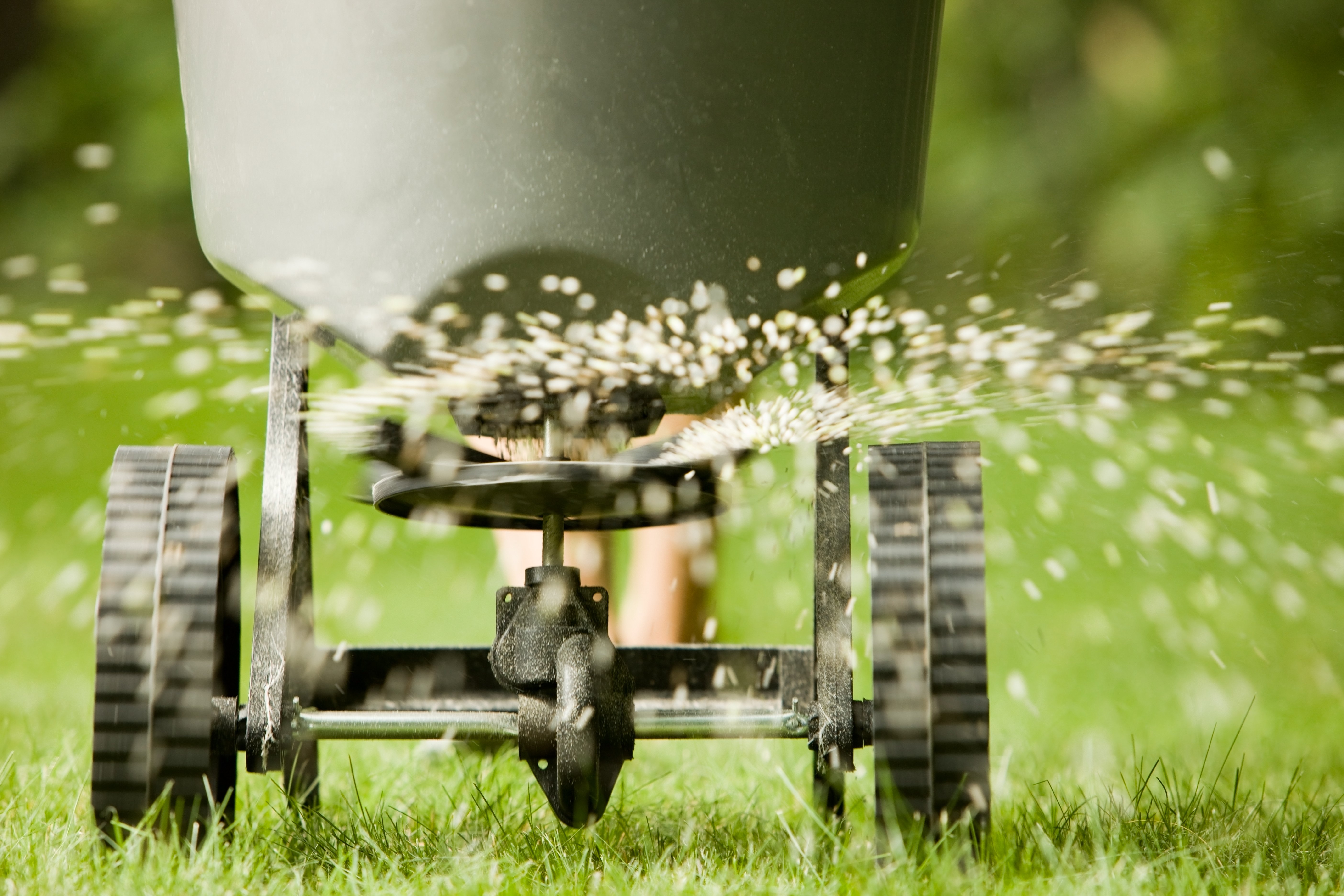 Fertilizer Programs That Work: Why Pre-Emergent is Key